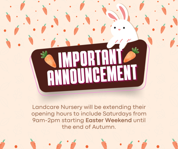 Additional opening hours for our Nursery during Autumn