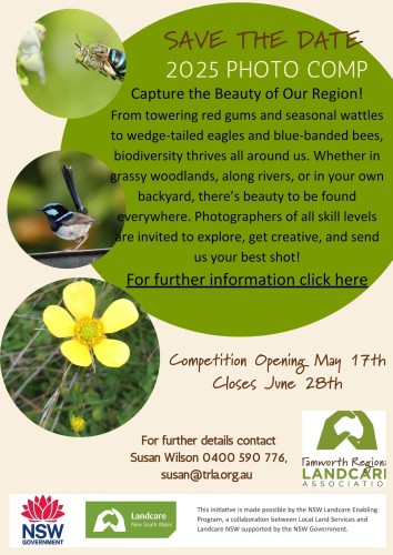 TRLA photography competition