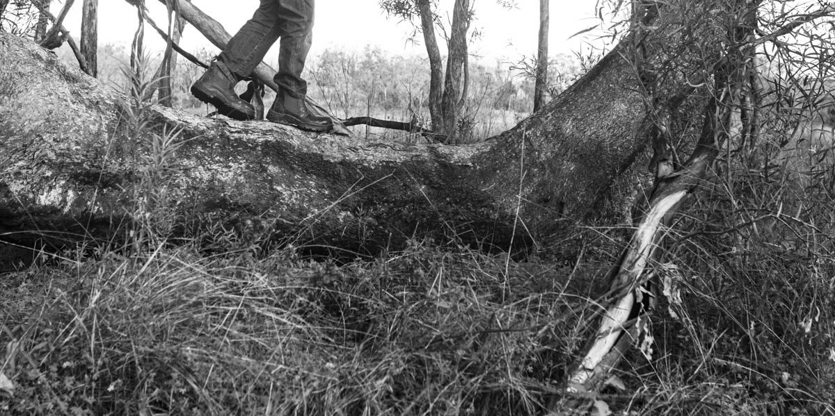 Nature’s Playground Veronica Filby