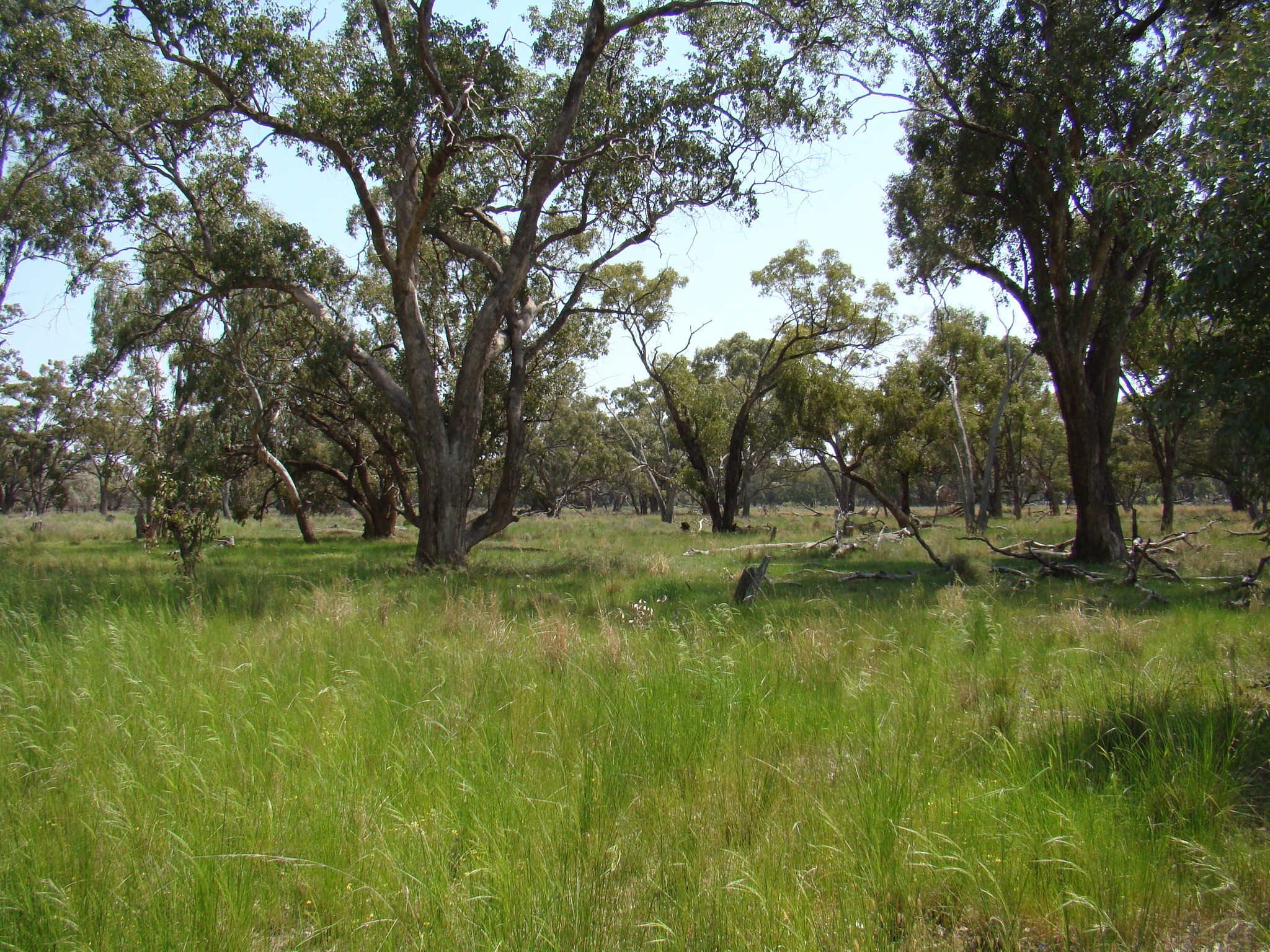 Natural Capital Opportunities - On Farm (LLS event)