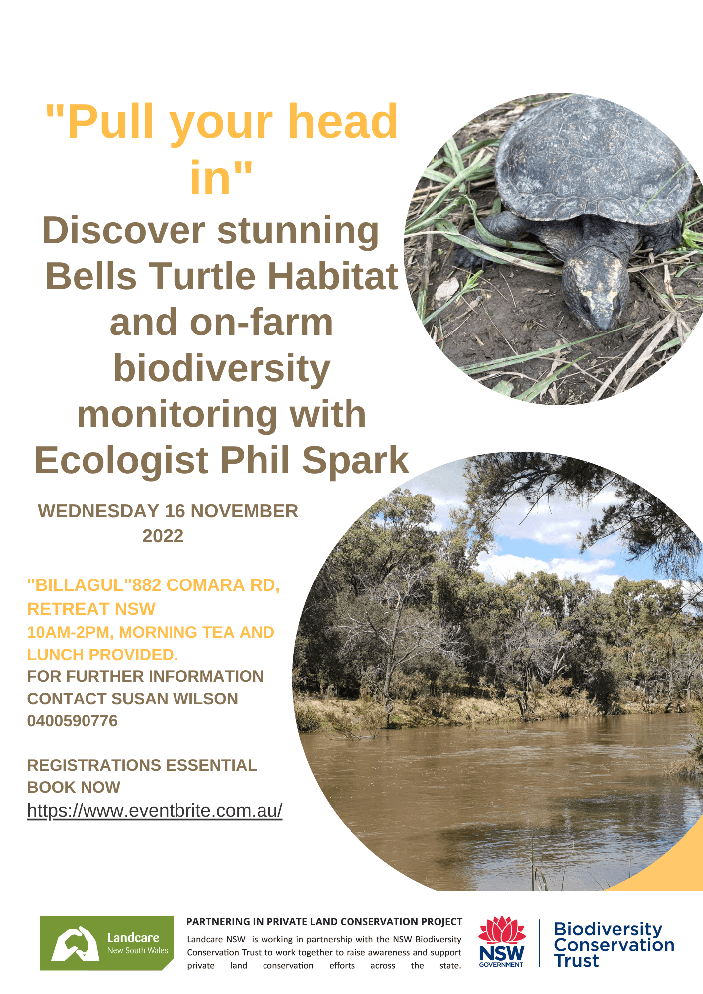 Pull your head in...