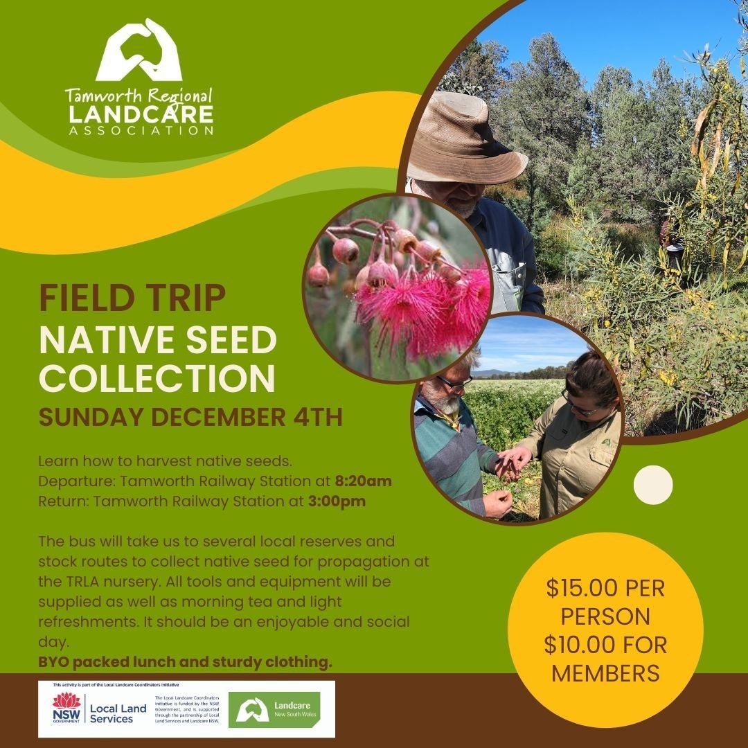 Seed Collection Field Trip