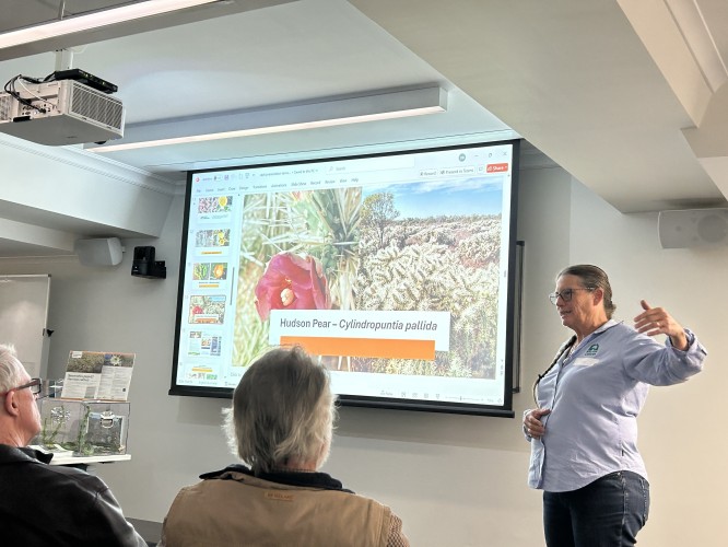 Landcare Learnings Recap – Spotlight on Cacti with Debi Bancroft