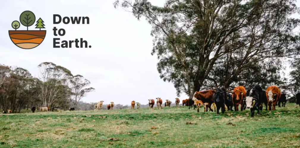 Down to Earth: Conversation, Collaboration & Technology