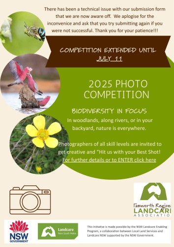 PHOTO COMP EXTENDED!
