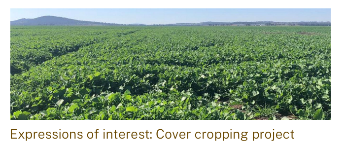 Expressions of Interest Open – Cover Cropping
