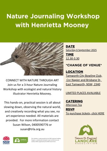 Learn the art of Nature Journaling with Henrietta Mooney