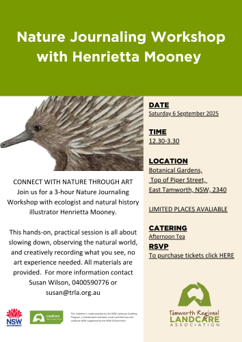 Learn the art of Nature Journaling with Henrietta Mooney
