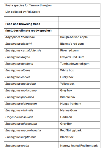 Koala Tree Species for Tamowrth Region
