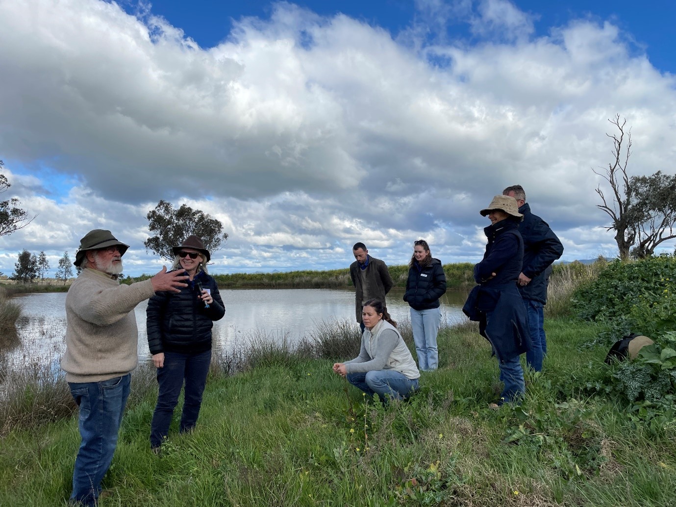 Managing natural assets on farm – Enhancing Farm Dams