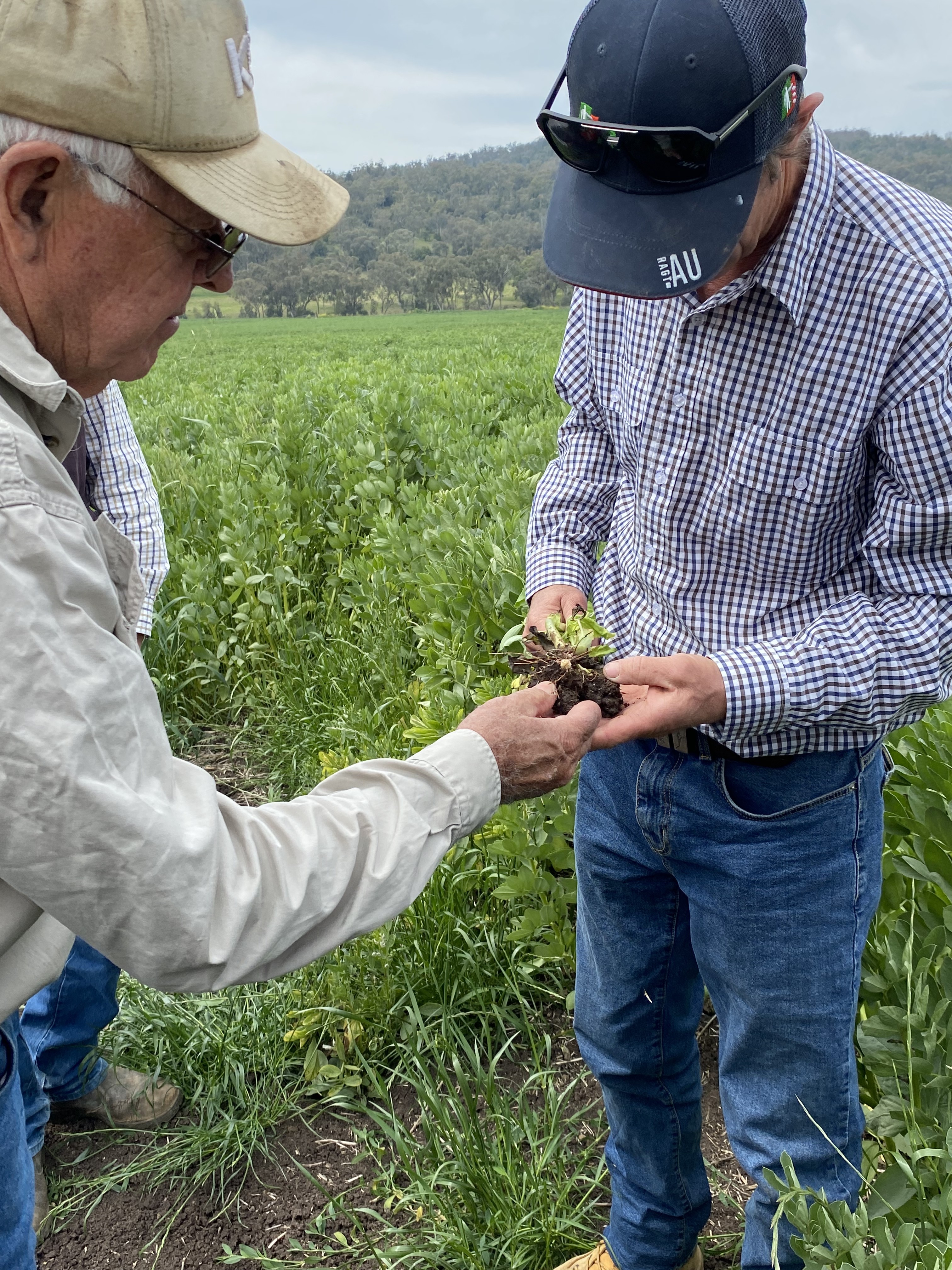 Get in Touch - Soil Workshop