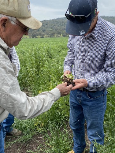 Get in Touch - Soil Workshop