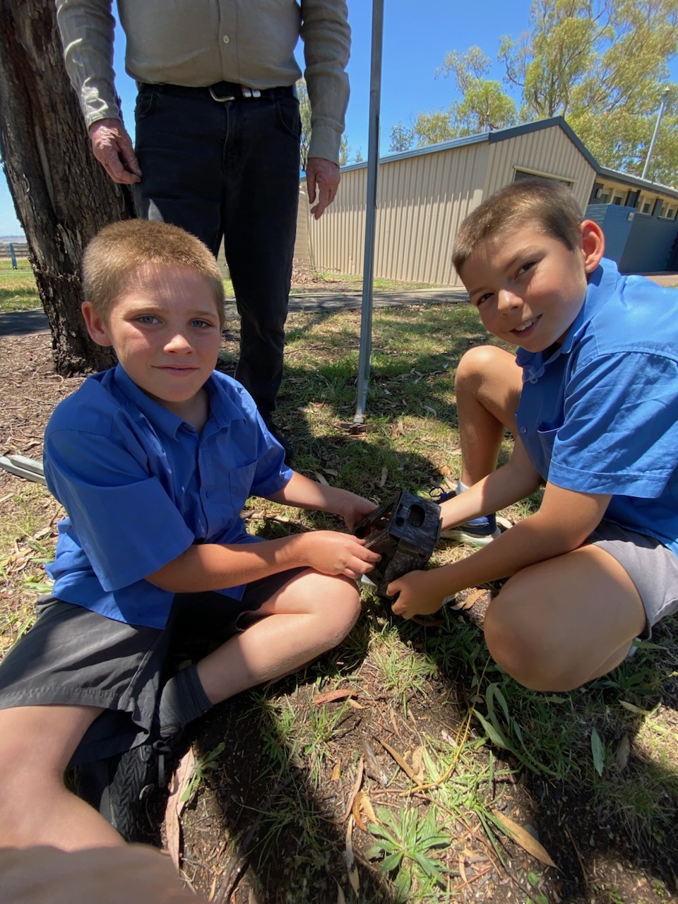 Blackville TreeTroff Update