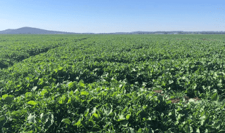 Landcare farming Program Benchmarking Soils Project