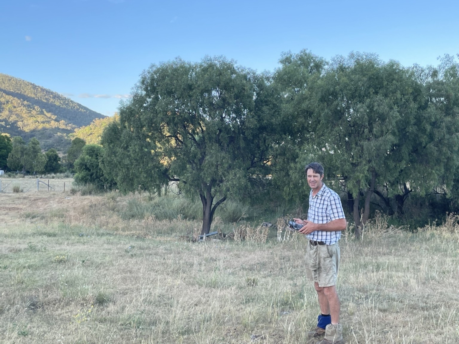 WildSeek Supports the Conservation and Rescue of Koalas and Other Native Species