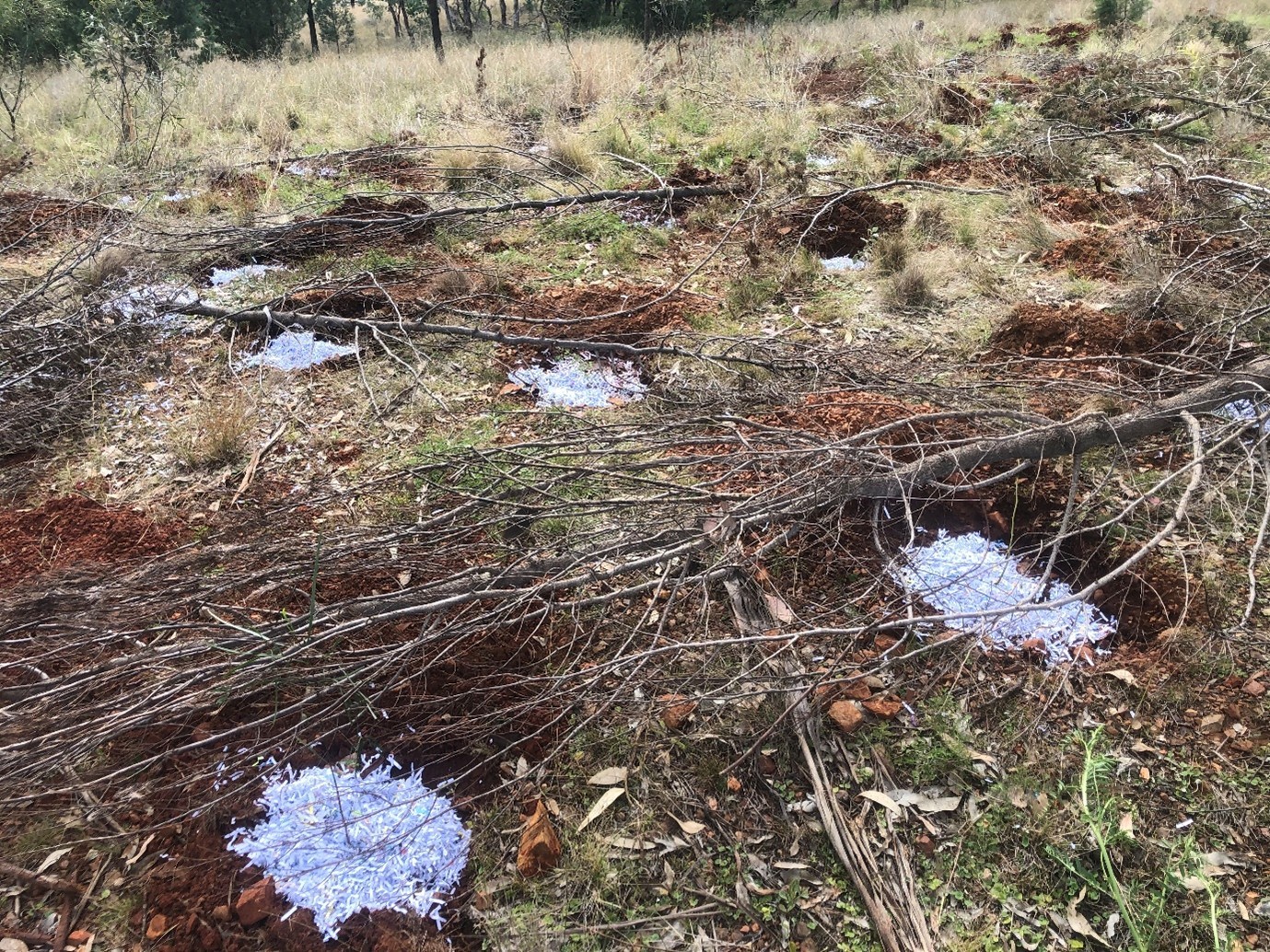 A big thank you to McCarthy Catholic Collage Environment Club!