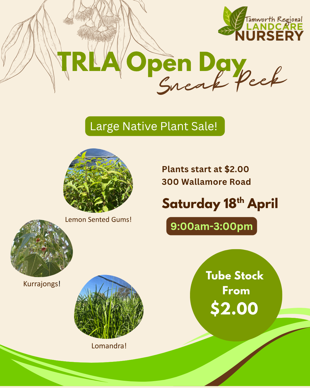 TRLA Open Day Sneak Peek
