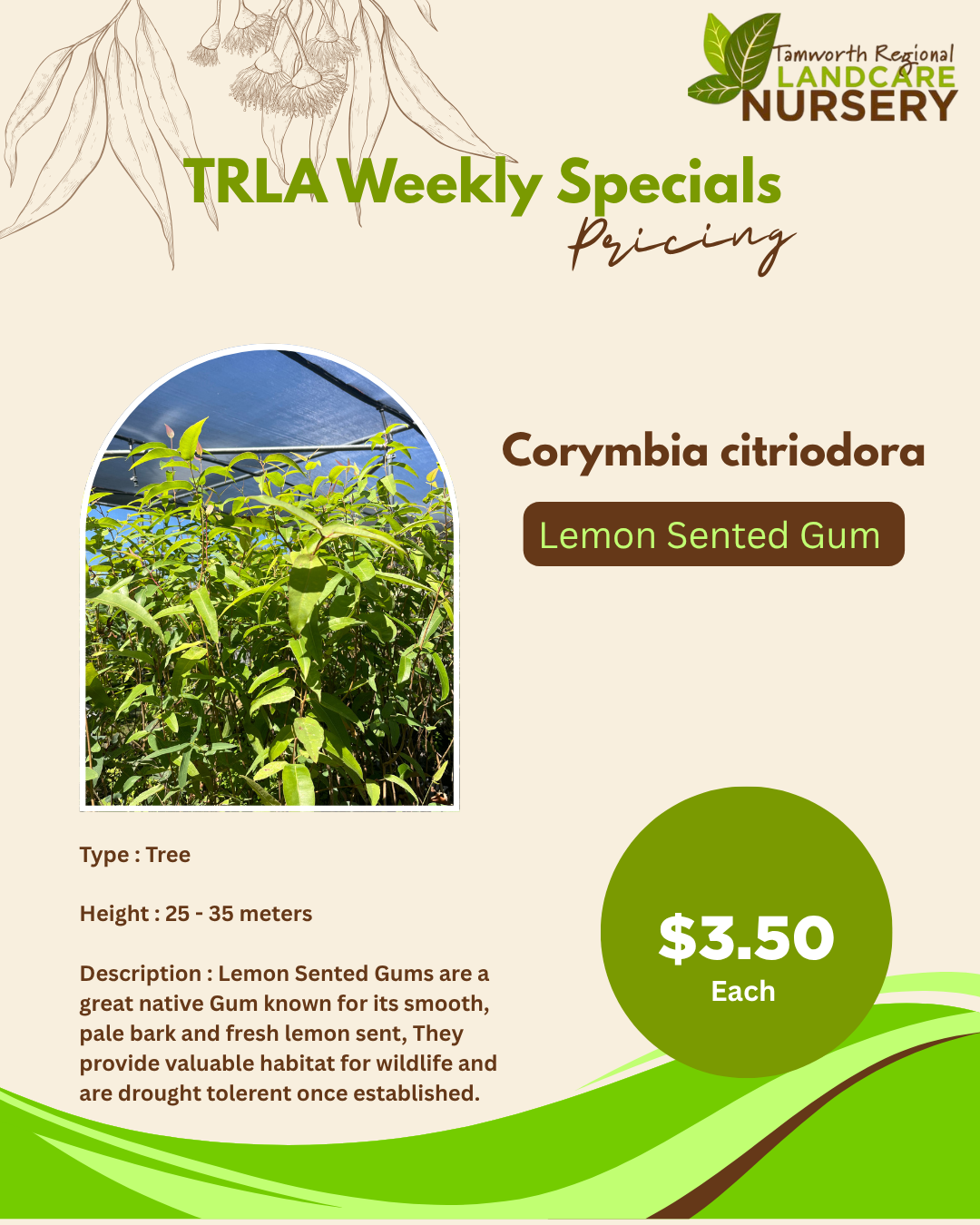 Nursery Weekly Sale!