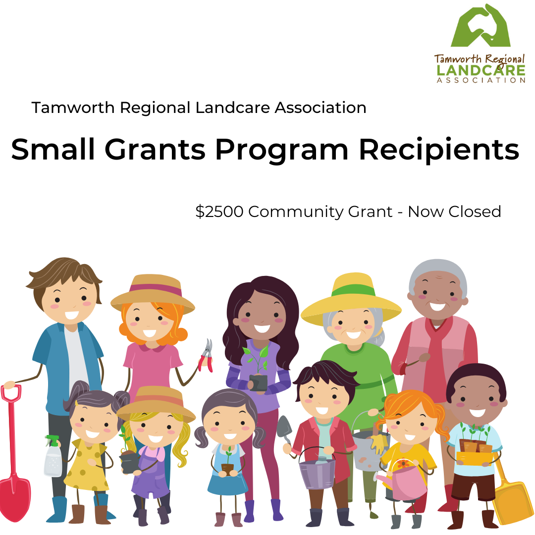 TRLA Small Grants Recipient's