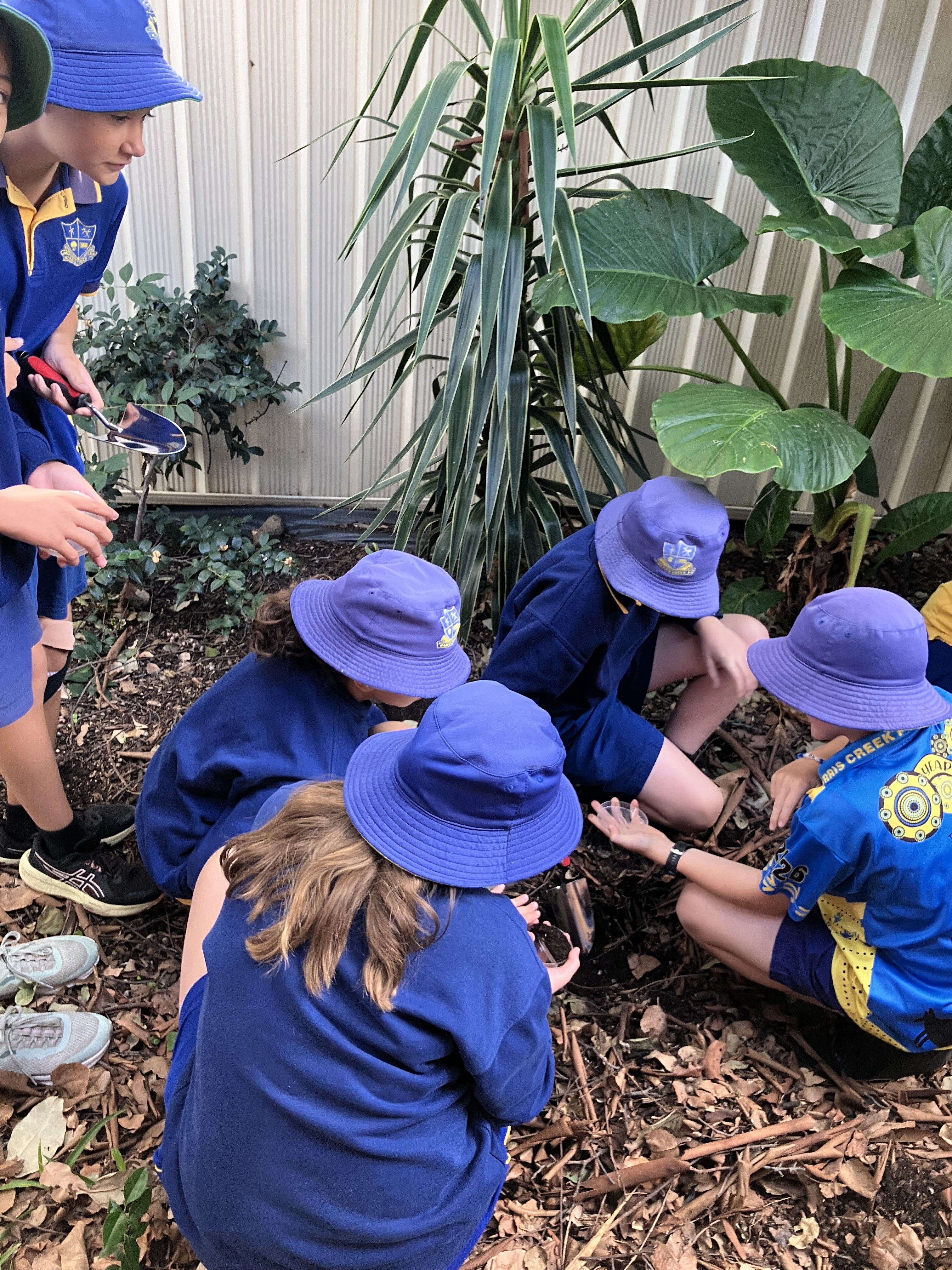 Growing Knowledge from the Ground Up at Werris Creek Community Garden