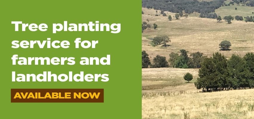 Tree Planting Service