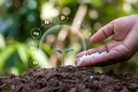 Soil nutrients: Are you a poor rich? - Dr Aurelie Quade