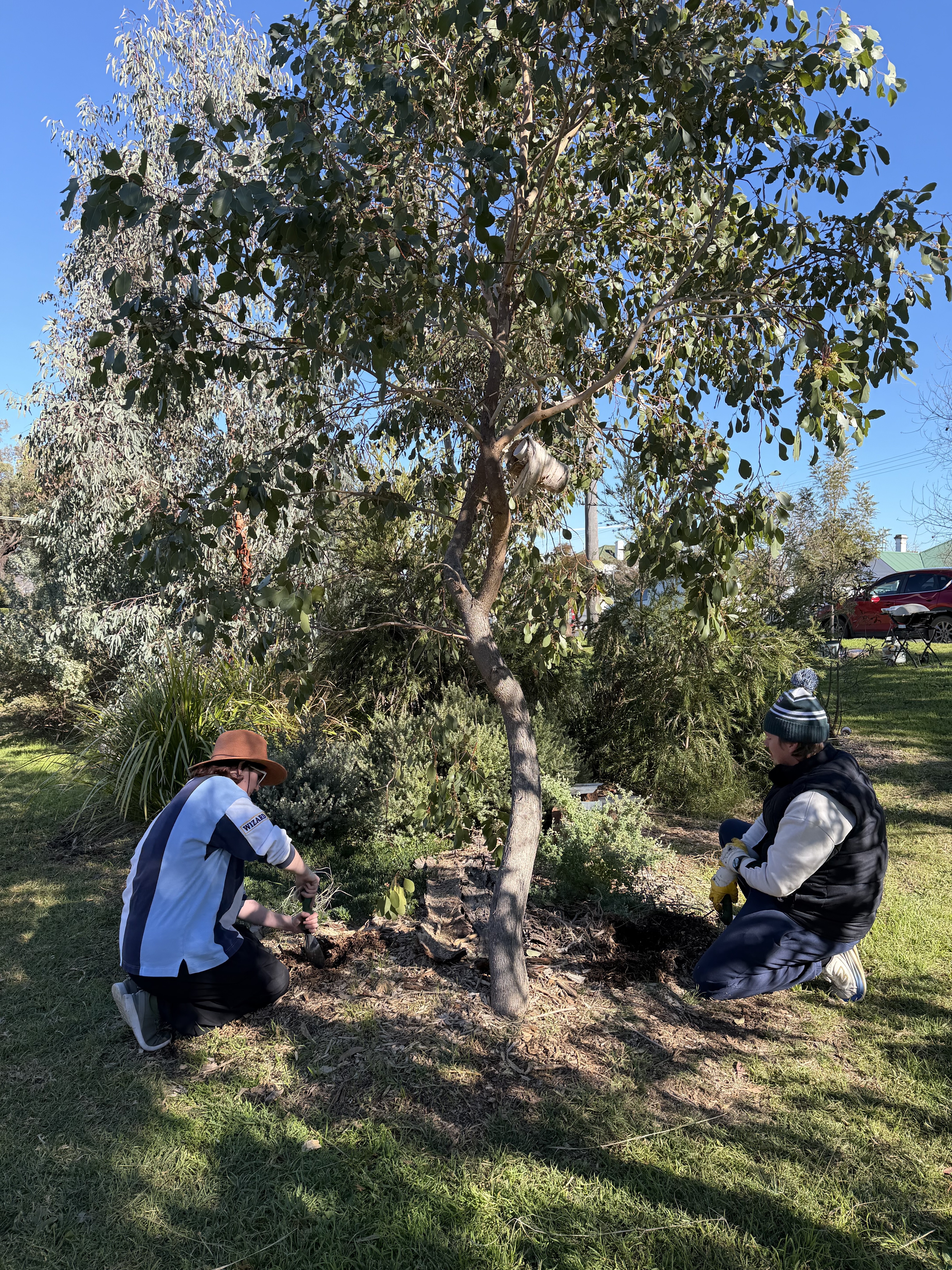 National Tree Day Brings the Community Together at Currawong Park
