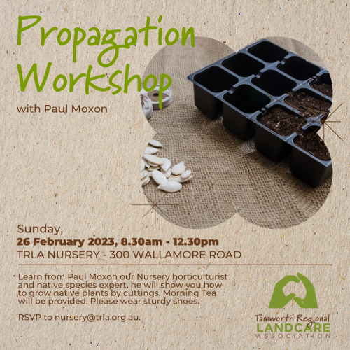 Plant propagation workshop