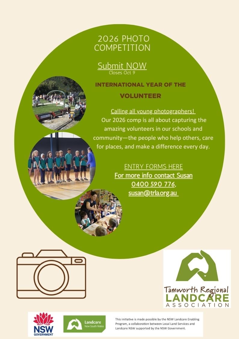 Junior - Calling all young photographers! 📸