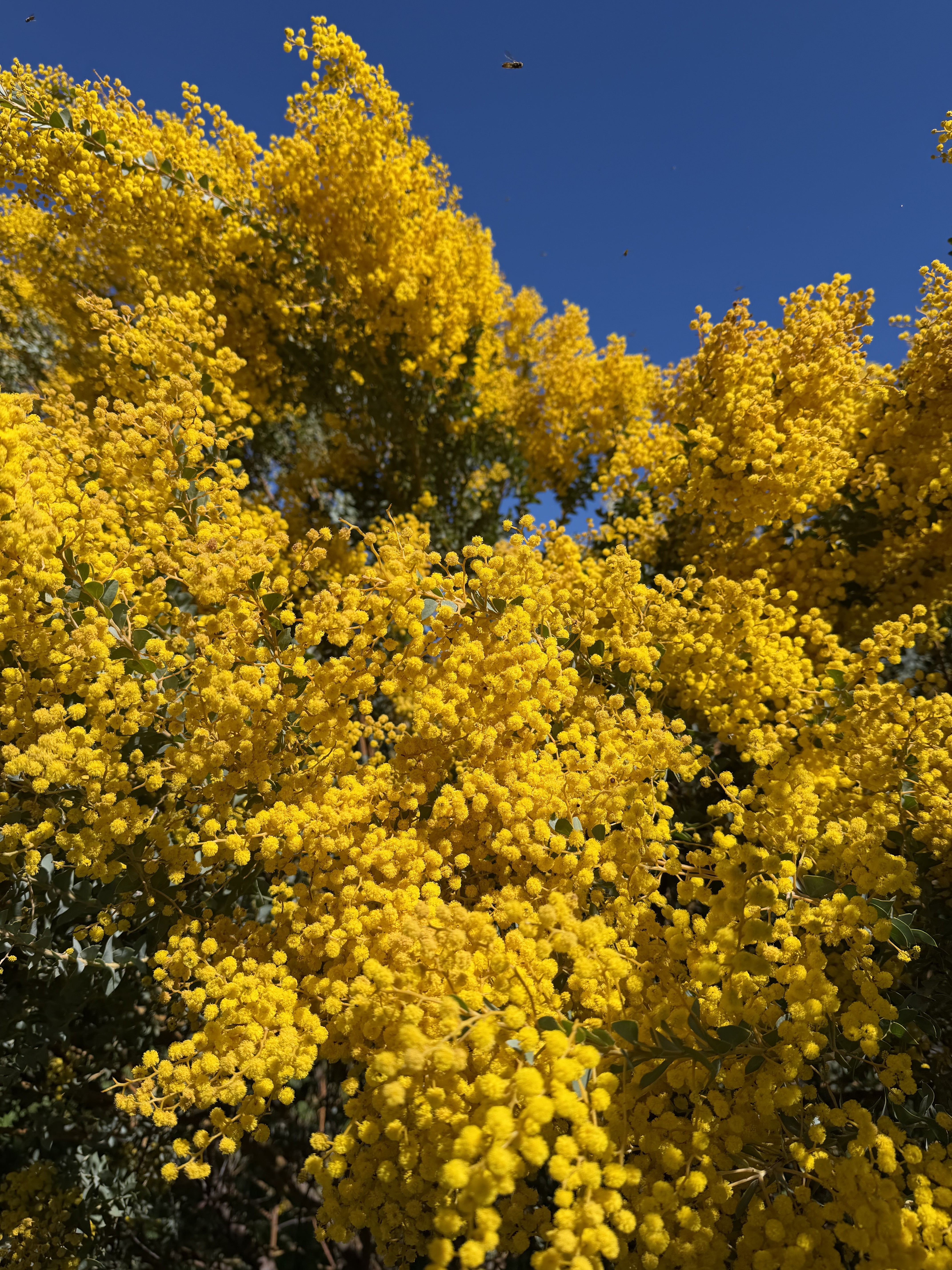 Spring Has Sprung – It’s Time to Get Planting!