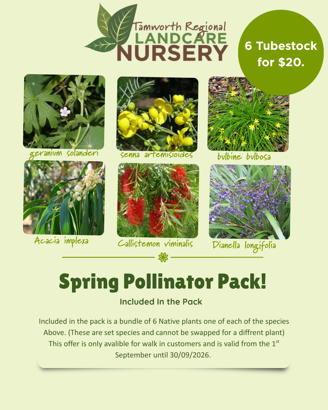 Spring Sale - Pollinator Packs