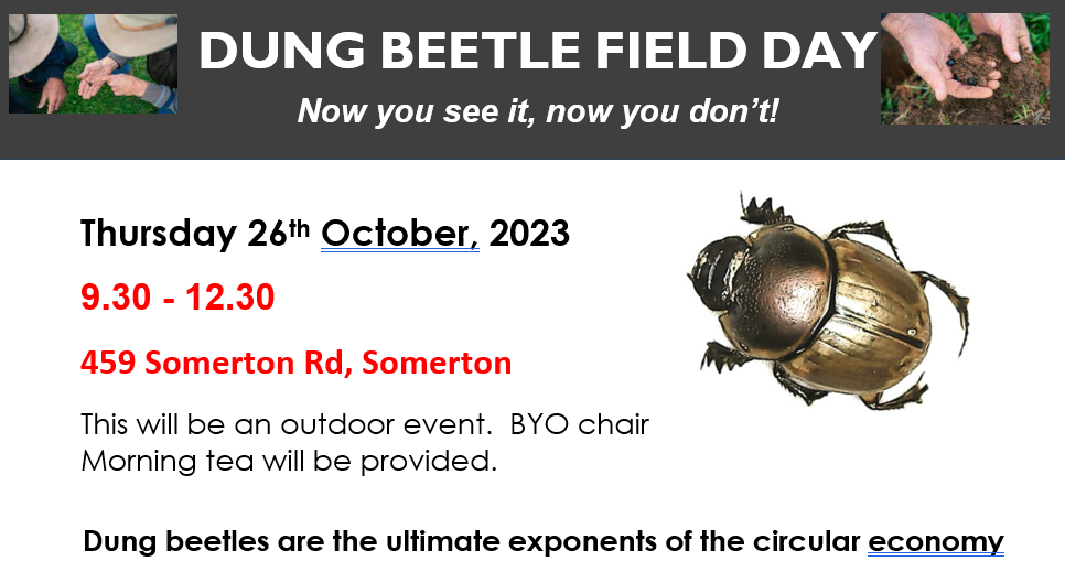 Dung Beetle Field Day