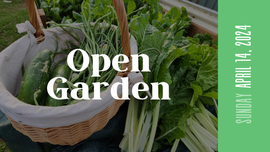 Community Garden Open Day